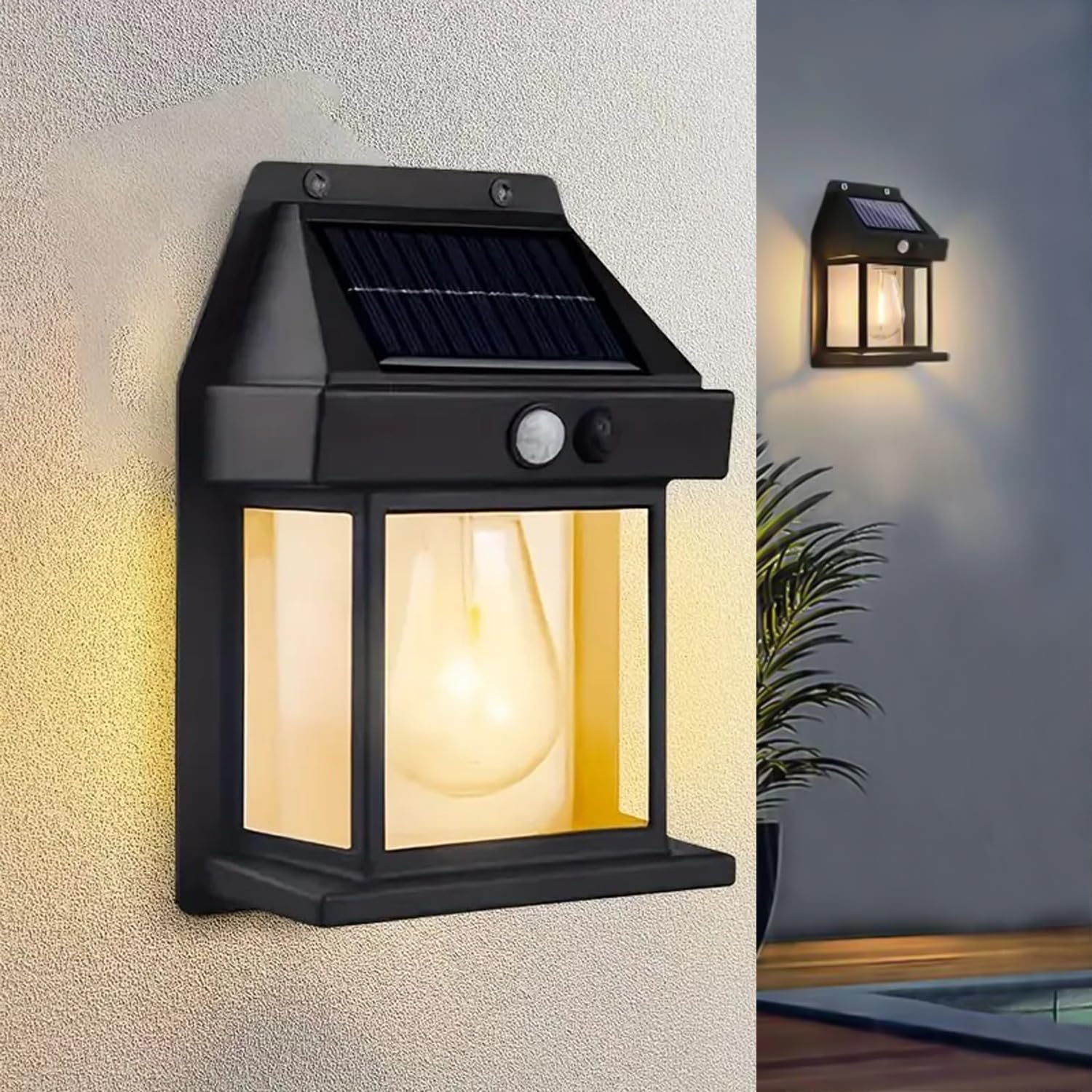 Solar Lights for Garden